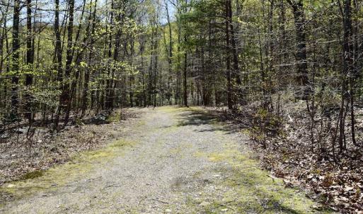 Photo #17 of SOLD property in Off Chase Log Road, Stuart, VA 46.4 acres