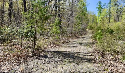Photo #19 of SOLD property in Off Chase Log Road, Stuart, VA 46.4 acres