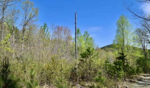 Photo #22 of SOLD property in Off Chase Log Road, Stuart, VA 46.4 acres
