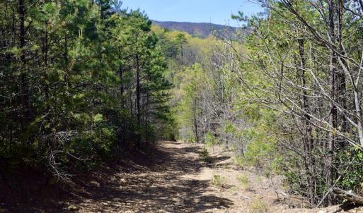 Photo #25 of SOLD property in Off Chase Log Road, Stuart, VA 46.4 acres