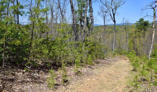Photo #27 of SOLD property in Off Chase Log Road, Stuart, VA 46.4 acres