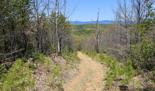 Photo #28 of SOLD property in Off Chase Log Road, Stuart, VA 46.4 acres
