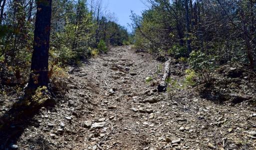 Photo #29 of SOLD property in Off Chase Log Road, Stuart, VA 46.4 acres