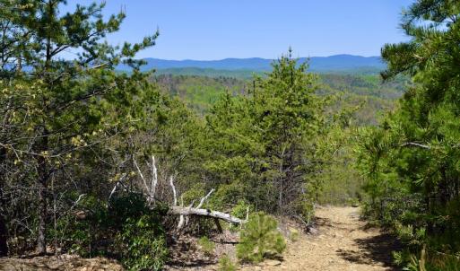 Photo #30 of SOLD property in Off Chase Log Road, Stuart, VA 46.4 acres