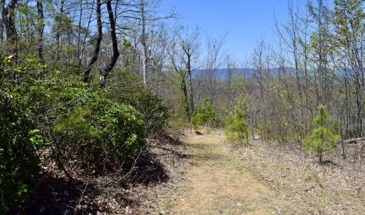 Photo #32 of SOLD property in Off Chase Log Road, Stuart, VA 46.4 acres