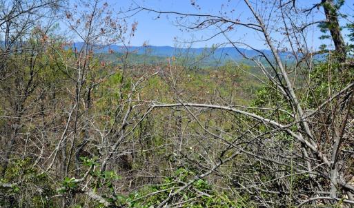 Photo #33 of SOLD property in Off Chase Log Road, Stuart, VA 46.4 acres