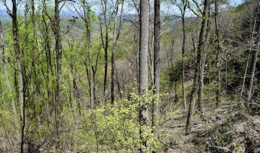 Photo #35 of SOLD property in Off Chase Log Road, Stuart, VA 46.4 acres