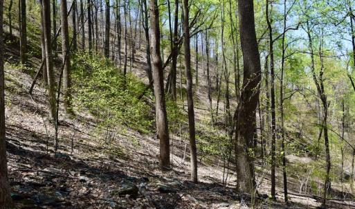 Photo #37 of SOLD property in Off Chase Log Road, Stuart, VA 46.4 acres