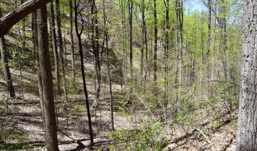 Photo #39 of SOLD property in Off Chase Log Road, Stuart, VA 46.4 acres