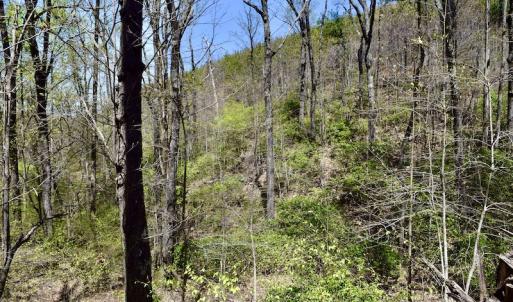 Photo #40 of SOLD property in Off Chase Log Road, Stuart, VA 46.4 acres
