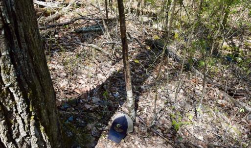 Photo #41 of SOLD property in Off Chase Log Road, Stuart, VA 46.4 acres