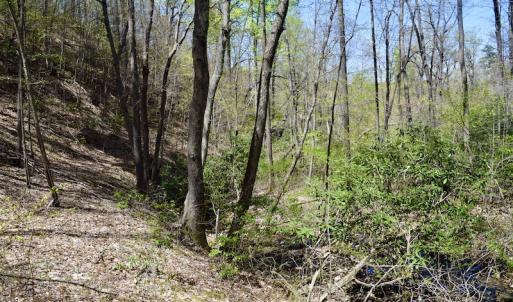 Photo #42 of SOLD property in Off Chase Log Road, Stuart, VA 46.4 acres