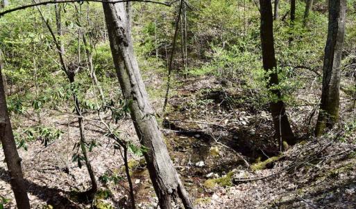 Photo #43 of SOLD property in Off Chase Log Road, Stuart, VA 46.4 acres