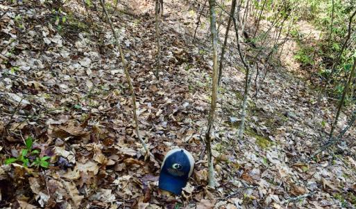 Photo #44 of SOLD property in Off Chase Log Road, Stuart, VA 46.4 acres