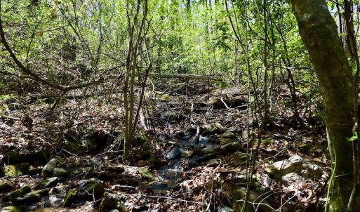 Photo #47 of SOLD property in Off Chase Log Road, Stuart, VA 46.4 acres