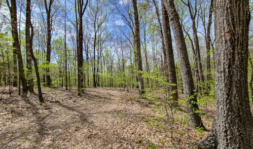 Photo #2 of SOLD property in Off Mountain Drive, Callands, VA 7.0 acres