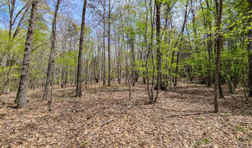 Photo #5 of SOLD property in Off Mountain Drive, Callands, VA 7.0 acres