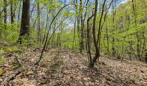 Photo #8 of SOLD property in Off Mountain Drive, Callands, VA 7.0 acres
