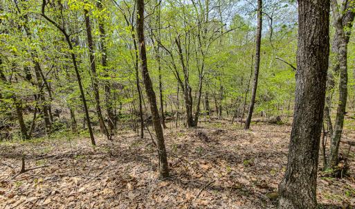 Photo #9 of SOLD property in Off Mountain Drive, Callands, VA 7.0 acres