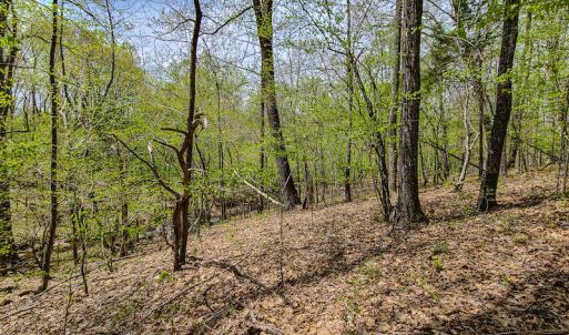 Photo #10 of SOLD property in Off Mountain Drive, Callands, VA 7.0 acres