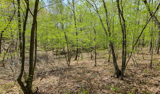 Photo #11 of SOLD property in Off Mountain Drive, Callands, VA 7.0 acres