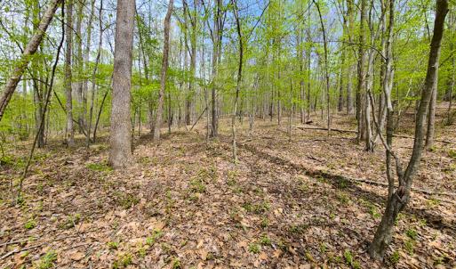 Photo #17 of SOLD property in Off Mountain Drive, Callands, VA 7.0 acres