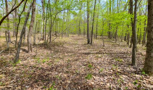 Photo #18 of SOLD property in Off Mountain Drive, Callands, VA 7.0 acres