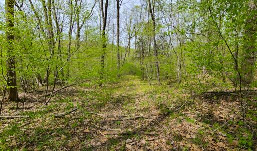 Photo #19 of SOLD property in Off Mountain Drive, Callands, VA 7.0 acres