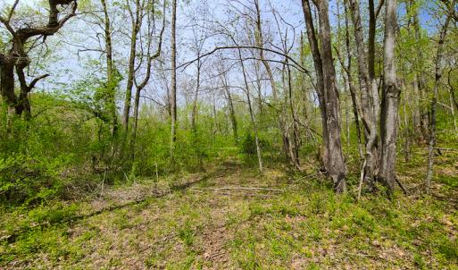 Photo #20 of SOLD property in Off Mountain Drive, Callands, VA 7.0 acres