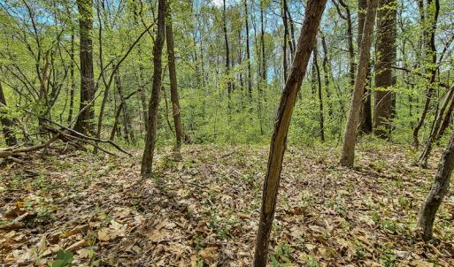 Photo #21 of SOLD property in Off Mountain Drive, Callands, VA 7.0 acres