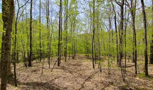 Photo #22 of SOLD property in Off Mountain Drive, Callands, VA 7.0 acres