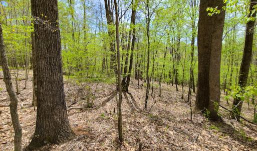Photo #24 of SOLD property in Off Mountain Drive, Callands, VA 7.0 acres