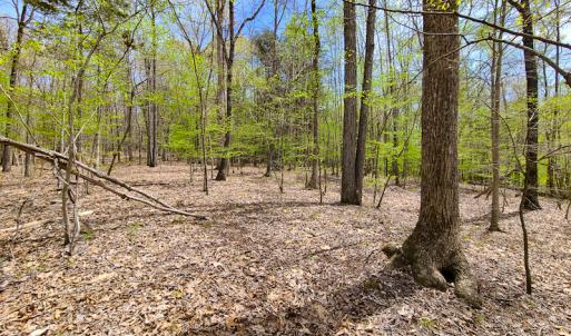 Photo #26 of SOLD property in Off Mountain Drive, Callands, VA 7.0 acres