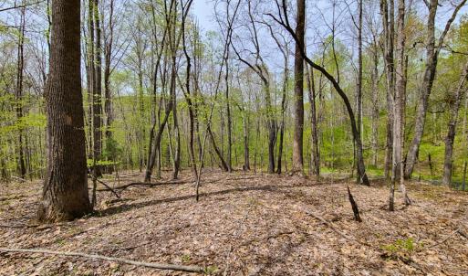 Photo #27 of SOLD property in Off Mountain Drive, Callands, VA 7.0 acres