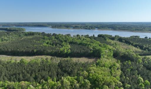 Photo #2 of SOLD property in Off Gaston Hills Lane, Gaston, NC 11.5 acres