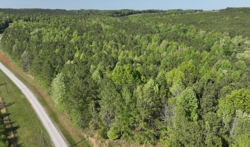Photo #10 of SOLD property in Off Gaston Hills Lane, Gaston, NC 11.5 acres