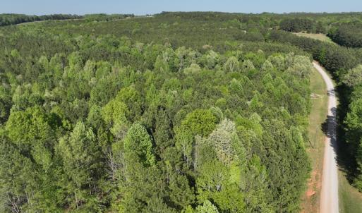 Photo #12 of SOLD property in Off Gaston Hills Lane, Gaston, NC 11.5 acres
