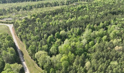 Photo #13 of SOLD property in Off Gaston Hills Lane, Gaston, NC 11.5 acres