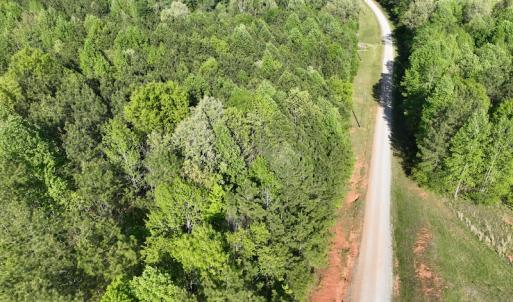 Photo #14 of SOLD property in Off Gaston Hills Lane, Gaston, NC 11.5 acres