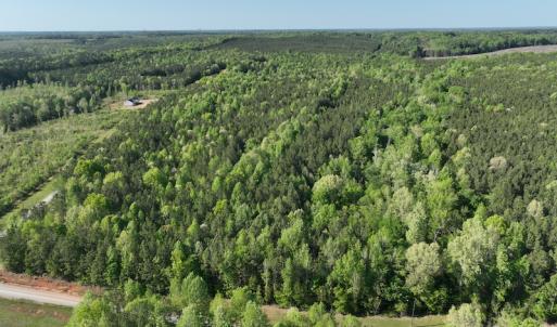 Photo #15 of SOLD property in Off Gaston Hills Lane, Gaston, NC 11.5 acres