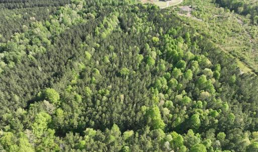 Photo #16 of SOLD property in Off Gaston Hills Lane, Gaston, NC 11.5 acres