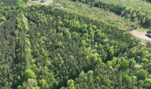 Photo #17 of SOLD property in Off Gaston Hills Lane, Gaston, NC 11.5 acres