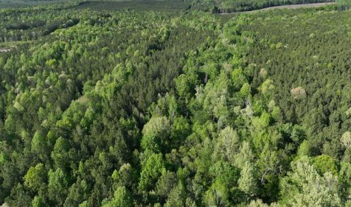 Photo #19 of SOLD property in Off Gaston Hills Lane, Gaston, NC 11.5 acres