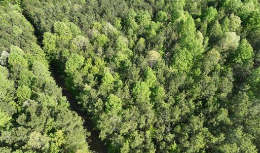 Photo #20 of SOLD property in Off Gaston Hills Lane, Gaston, NC 11.5 acres