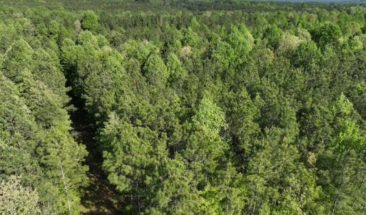 Photo #21 of SOLD property in Off Gaston Hills Lane, Gaston, NC 11.5 acres