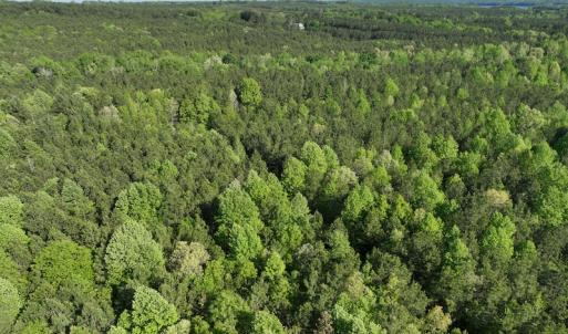 Photo #22 of SOLD property in Off Gaston Hills Lane, Gaston, NC 11.5 acres
