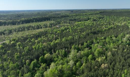 Photo #23 of SOLD property in Off Gaston Hills Lane, Gaston, NC 11.5 acres