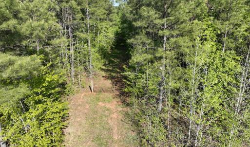 Photo #24 of SOLD property in Off Gaston Hills Lane, Gaston, NC 11.5 acres