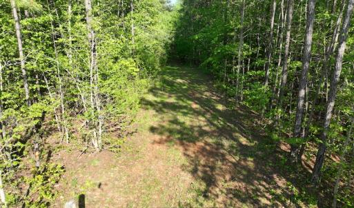 Photo #25 of SOLD property in Off Gaston Hills Lane, Gaston, NC 11.5 acres