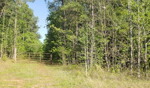 Photo #26 of SOLD property in Off Gaston Hills Lane, Gaston, NC 11.5 acres